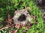 Bird nest feeder fibre refill bags