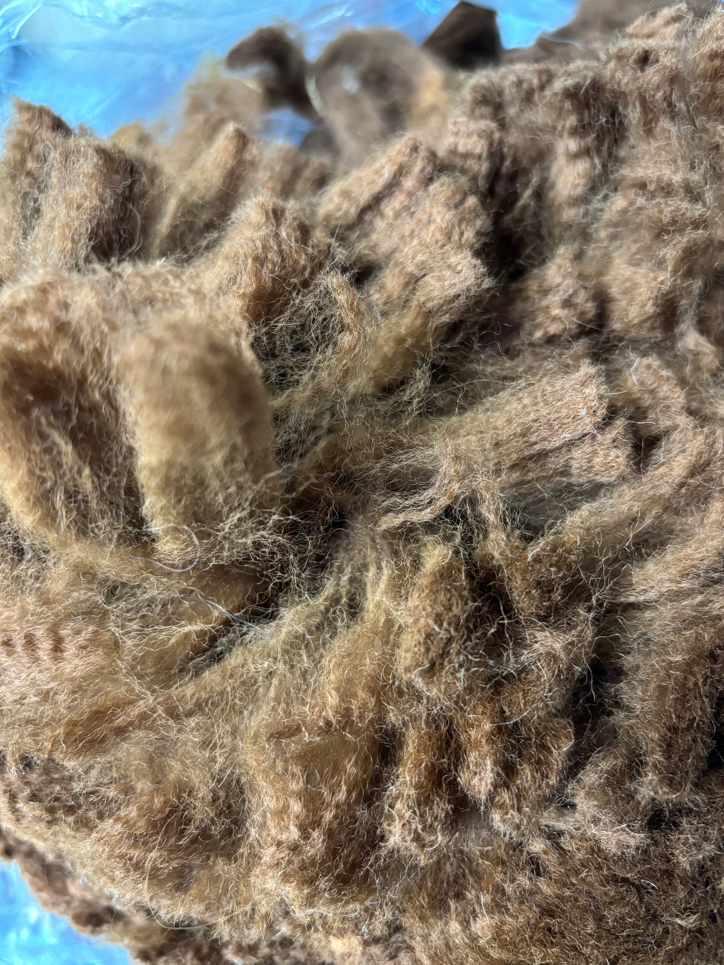 Alpaca fleece - raw