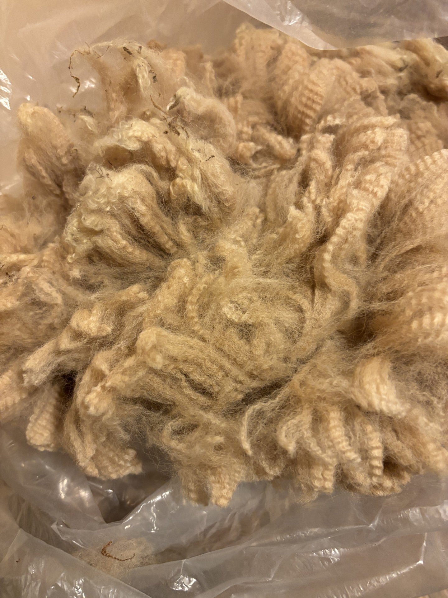 Alpaca fleece - raw