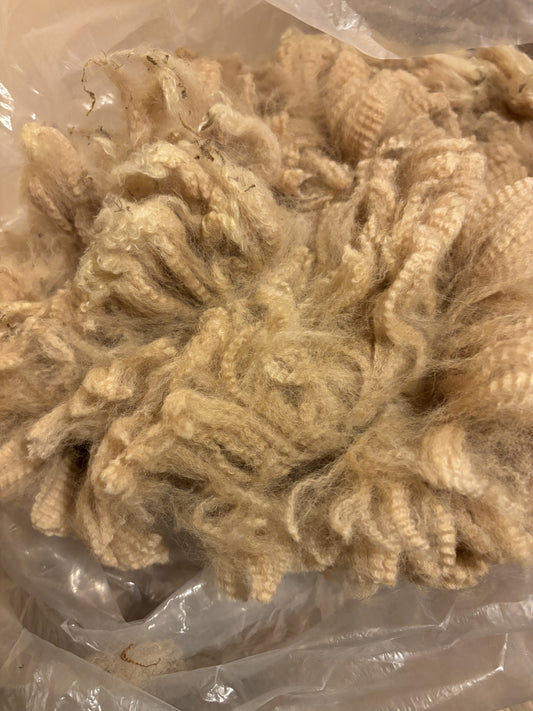 Alpaca fleece - raw