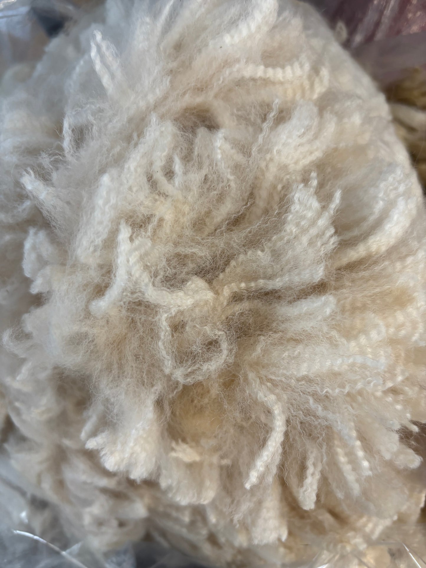 Alpaca fleece - raw