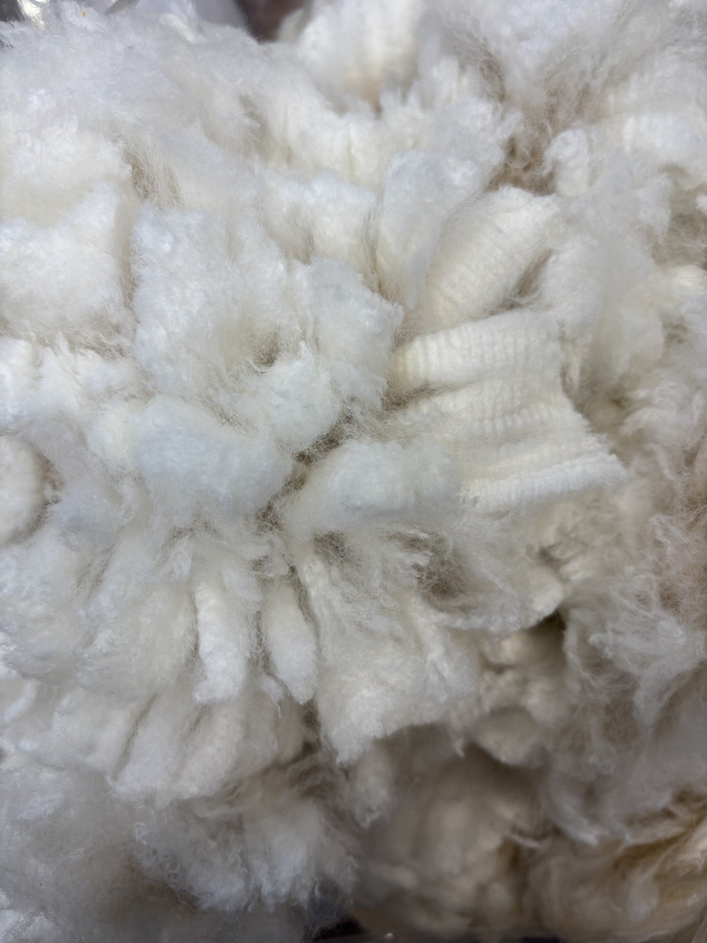 Alpaca fleece - raw