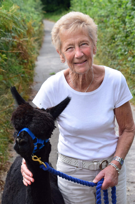 Private Alpaca walking and homemade Devon Cream Tea experience