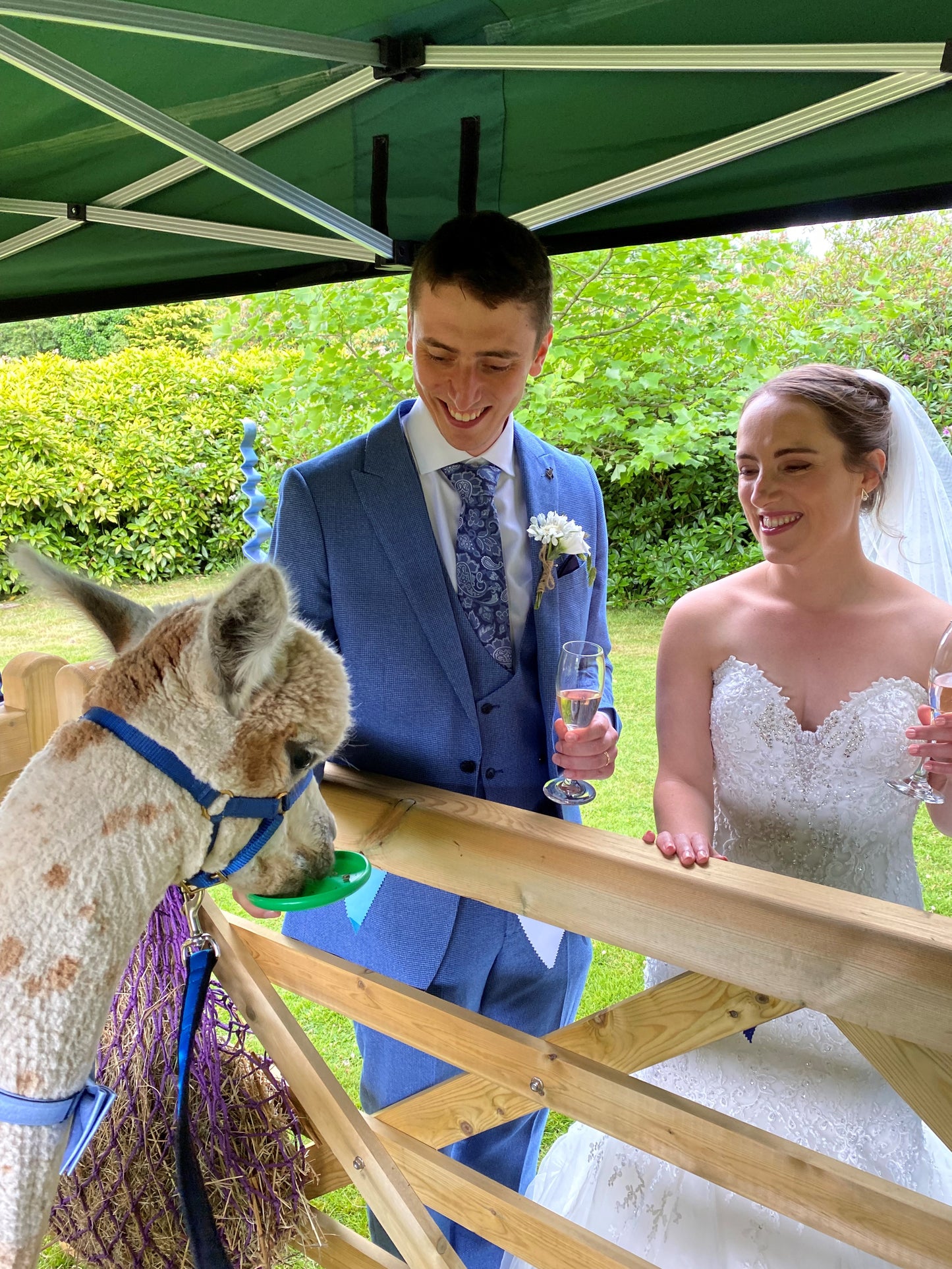 Wedding package