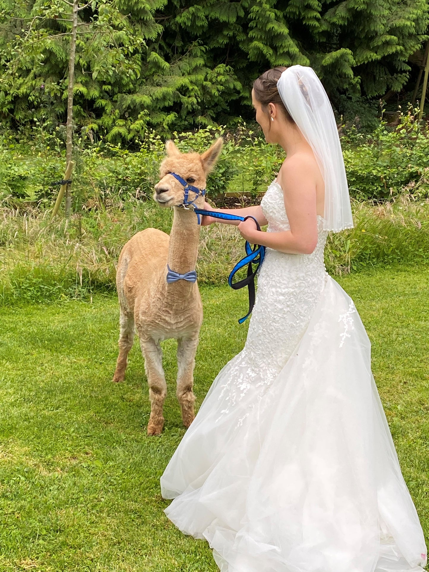Wedding package