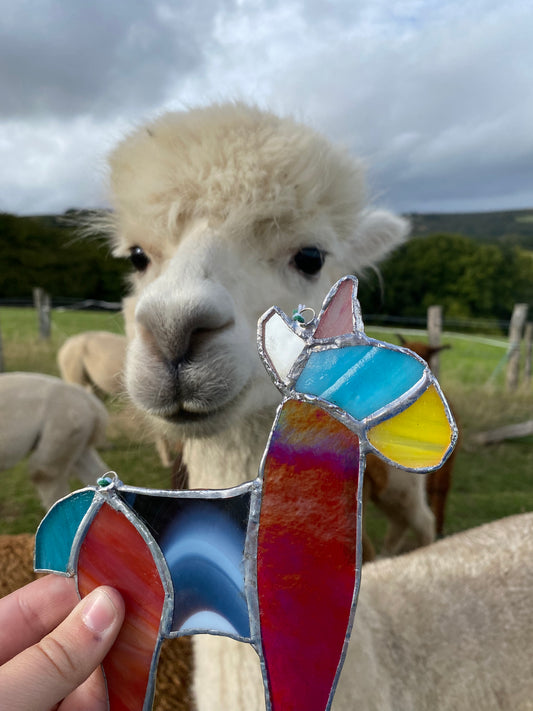 Stained Glass Alpaca Experience - Tuesday 21st May 2024  - Full Day Workshop